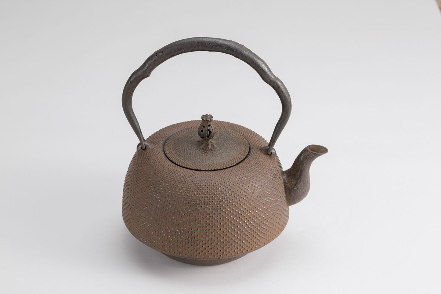 鉄瓶　23型南部型アラレ